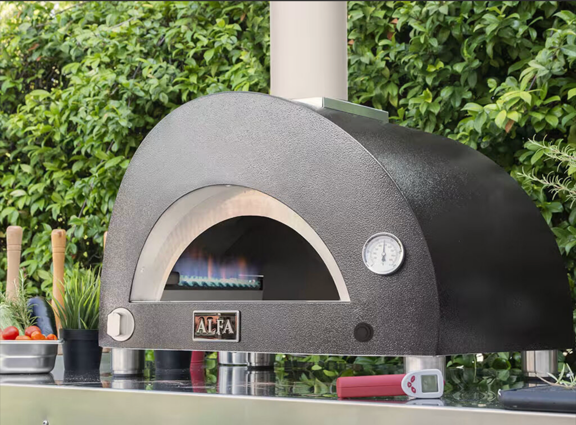 HORNO MODERNO  1 PIZZE LEÑA O GAS   - ALFAFORNI